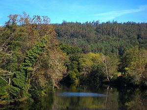 Río Tambre en Ponte Maceira. Ponte Maceira vese dividida polo Tambre. A parte esquerda de Ponte Maceira pertence a Portor, concello de Negreira; a parte dereita, a Ponte Maceira, concello de Ames. Galiza