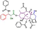 Thumbnail for Holton Taxol total synthesis