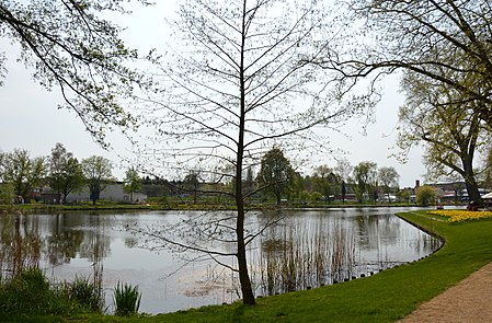 Teich im Flickschuhpark Burg