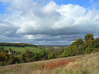 <span class="mw-page-title-main">Millfield Wood</span>