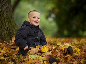 The boy in the leaves.jpg