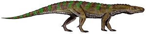 Ticinosuchus BW white background.jpg