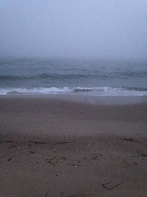 Tideline in North Truro, MA