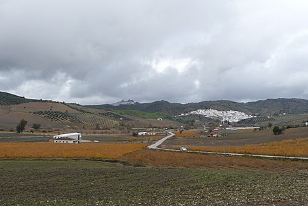 Torre Alháquime