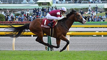 Tower of London Keio Hai Nisai Stakes 2017 (IMG1).jpg