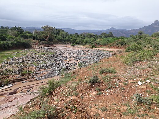 De Tsaliet Rivier in Ethiopië heeft zich ingesneden in haar eigen alluvium dat nu een 12 meter hoog rivierterras vormt