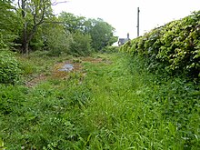 Turner's Hill SSSI (2) .jpg