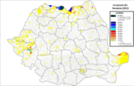 Miniatură pentru Ucrainenii din România