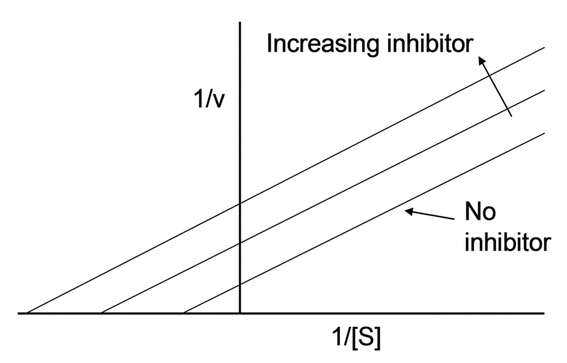 File:Uncompetitive inhibition.png