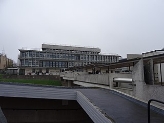 <span class="mw-page-title-main">University of York Library</span> Library at a British university