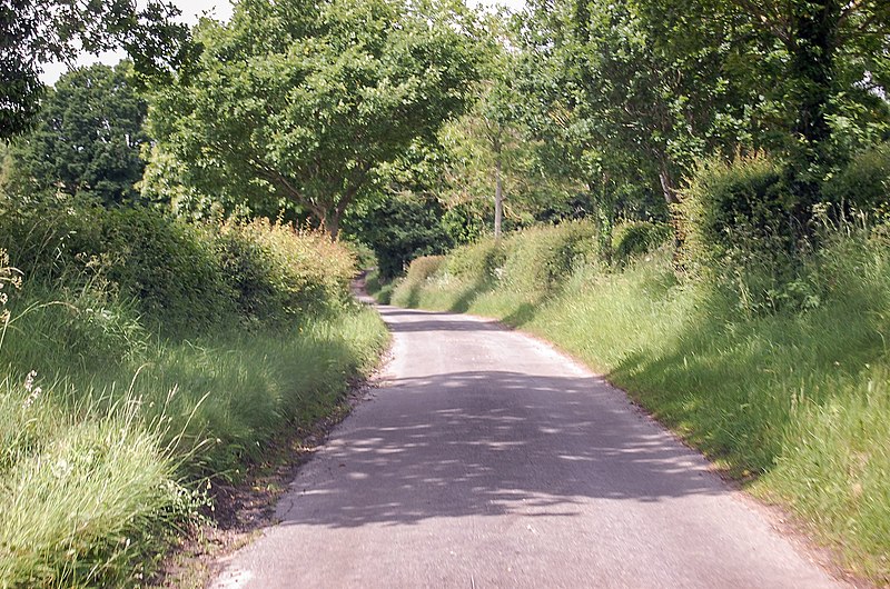 File:Unnamed lane near Great Witchingham (geograph 5007295).jpg