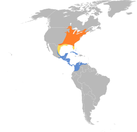 Distribución geográfica del vireo gorjiamarillo.
