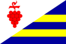 Bandera de Těmice