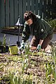 Volunteers help maintain the garden throughout the year. - AA (13991451719).jpg