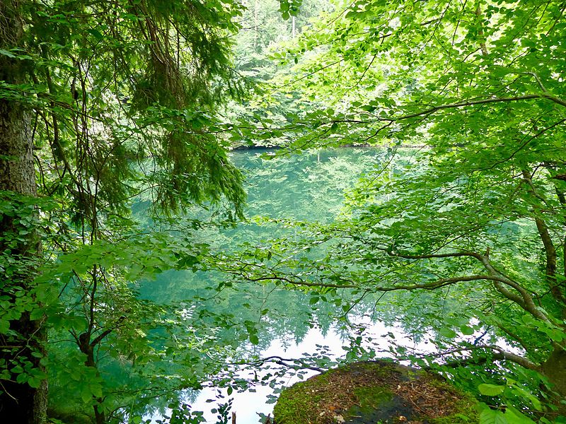 File:WLE 17 Faulenbacher Tal - Waldsee.jpg