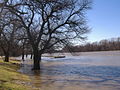 Wabash River Fairbanks Park downstream.JPG