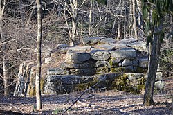 West Fork Furnace Overview.jpg