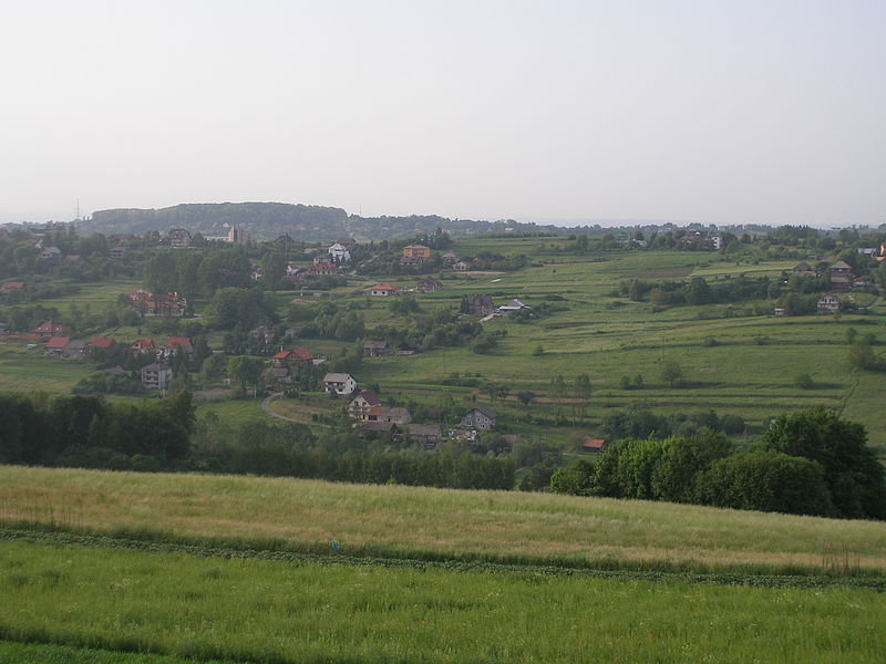 Plik:Widok golkowice.jpg