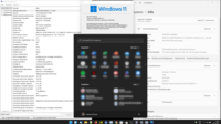 Microsoft Windows: Allgemeines und Begriff, Entwicklung, Produktlinien