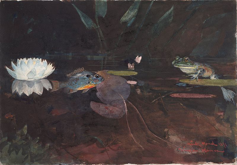 File:Winslow Homer - Mink Pond (1891).jpg