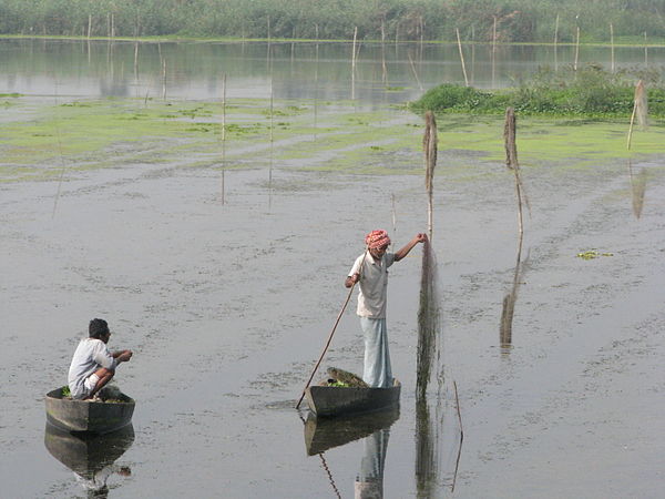 Sustainable fishing in India, an example of wise use.