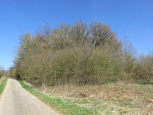 Blick aufs NSG Wunderwäldchen (links Stadtgebiet Attendorn, rechts Lennestadt)