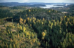 Fornborgen Borgberget och Lesjön.