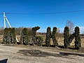 На въезде в деревню Жабки