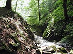 Wolfschlucht (Zwingenberg)