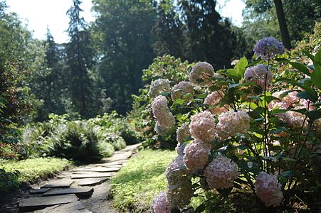 Dendrological Garden In Przelewice Wikipedia