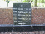 Братська могила, в якій поховані воїни Радянської армії, що загинули в роки Великої Вітчизняної війни (10 могил)5.jpg