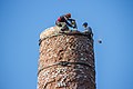 * Nomination Demolishing the boiler room pipe at the plain bearing factory (Tambov, Russia) --Саня Новиков 16:30, 22 December 2020 (UTC) * Promotion  Support Good quality. --Ermell 20:17, 22 December 2020 (UTC)