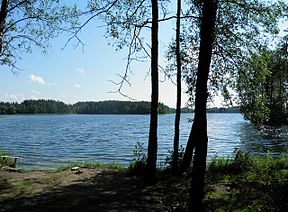 Озеро Язинска.jpg