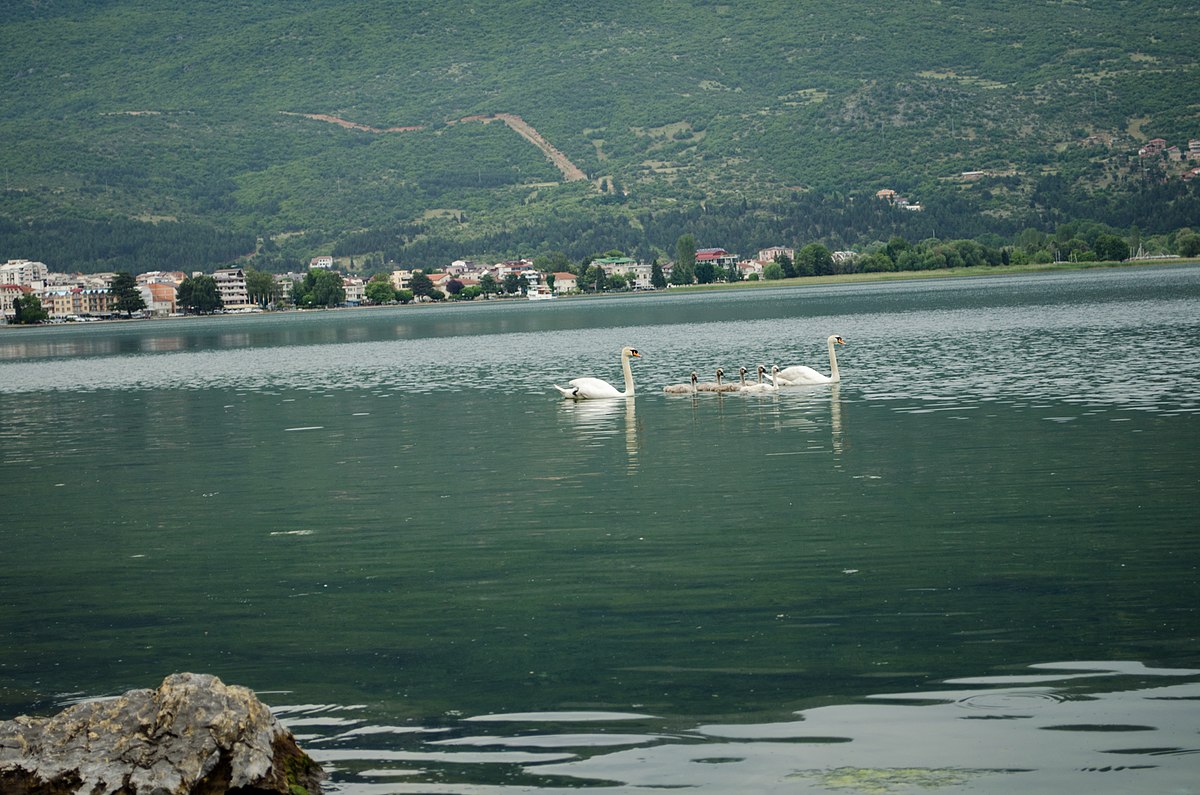 Crno jezero весной