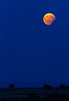 Rank: 36 Partial lunar eclipse at the blue hour