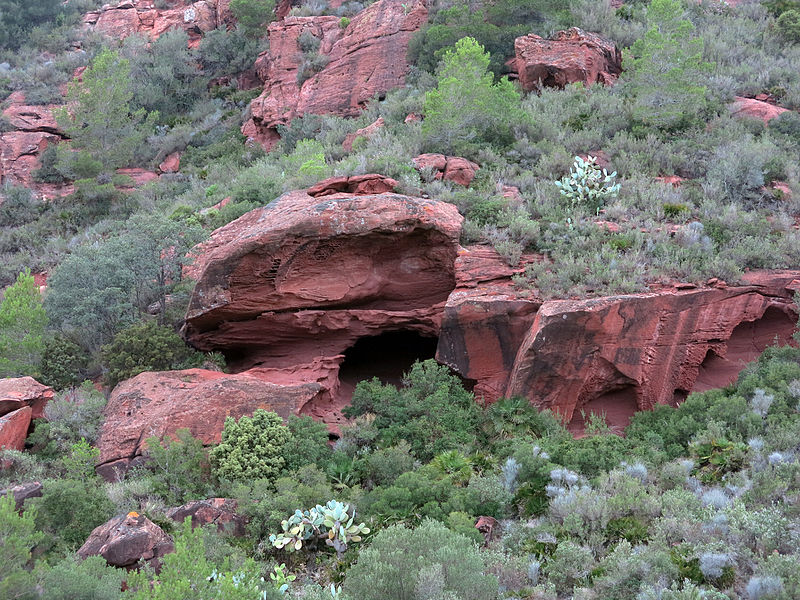 File:151 Balma a la falda sud de l'Areny (Mont-roig del Camp).JPG