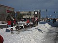 2008 Iditarod Anchorage (2311621971).jpg