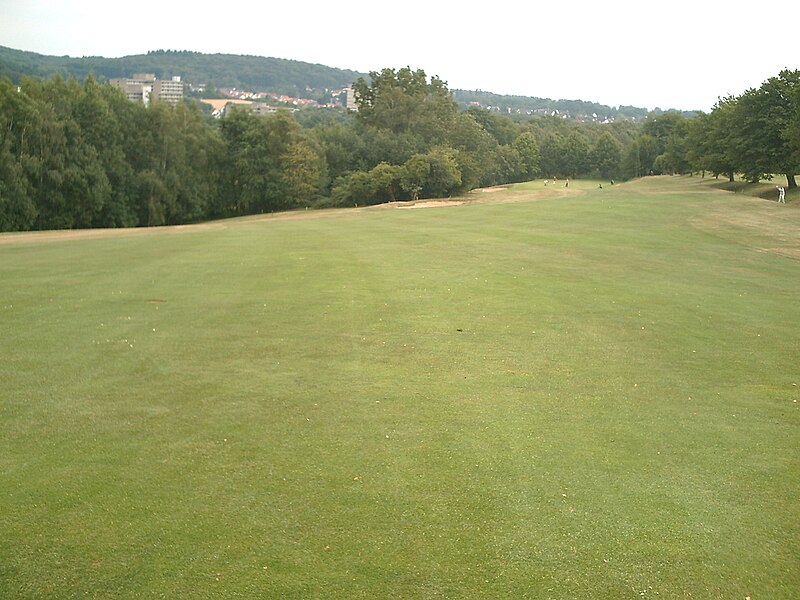 File:2010-07-21-Bad-Salzuflen-6.JPG