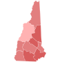 Thumbnail for 2010 United States Senate election in New Hampshire