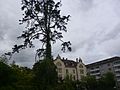 2014-05-12 Solothurn 49.jpg