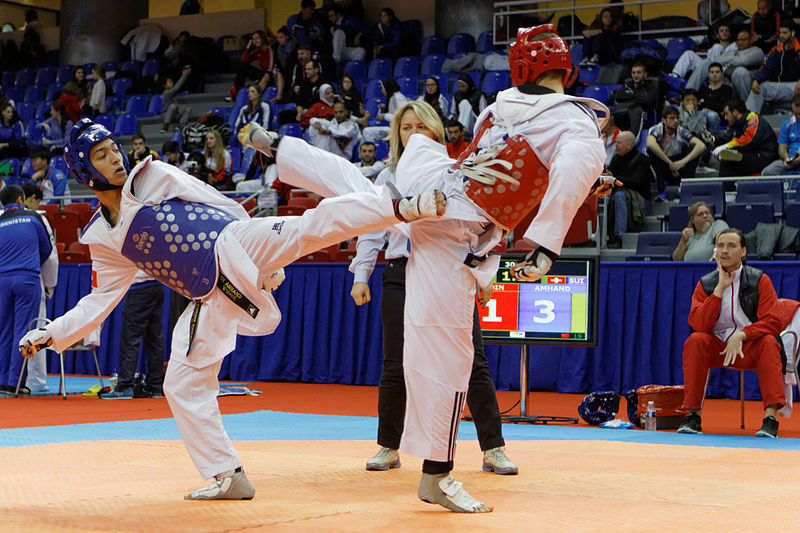 File:2014 French Open Taekwondo - Édouard Dourdin vs Mehdi Amhand 16.jpg