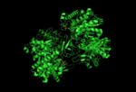 Thumbnail for Acetyl-CoA C-acetyltransferase