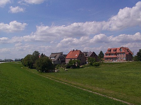 AltengammerElbdeich04