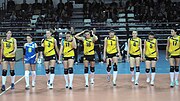 MKE Ankaragücü (kadın voleybol takımı) için küçük resim