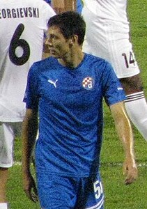 Ante Rukavina 2011.jpg