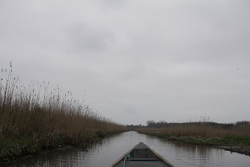 File:Anzali lagoon by Mardetanha 6090.JPG