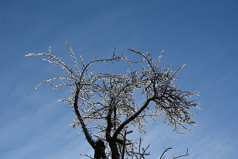 File:Aschau Impression Neuschnee 03.JPG