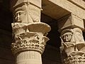 Komposiitkapiteel papüüruse- või lootoseõitega ja Hathori peadega