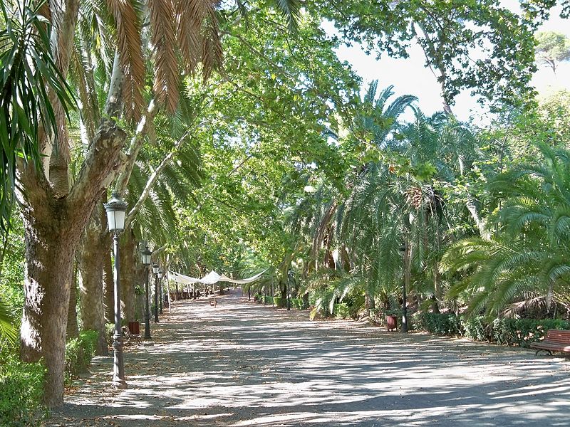 File:Avenida de las Palmeras (La Concepción).JPG