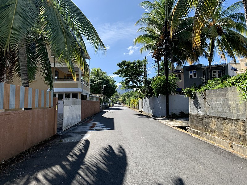 File:Avenue des Bengalis (Flic-en-Flac).jpg